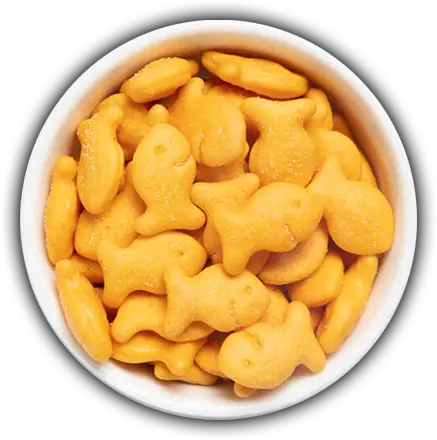 Nutrition That Feels as Good as It Tastes